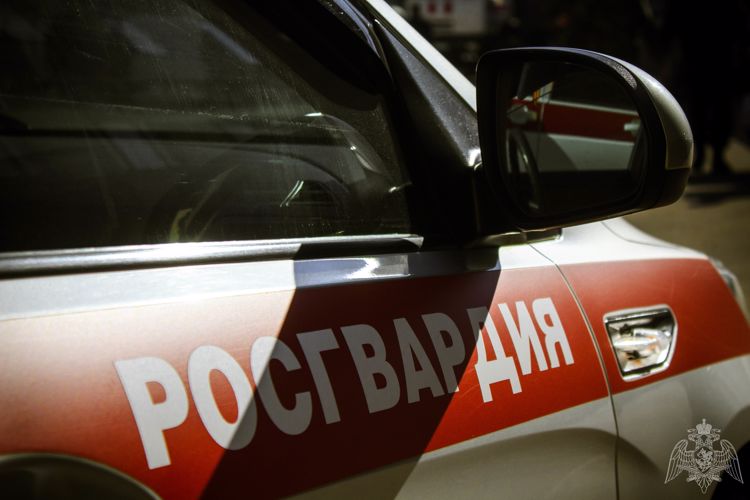 Результаты работы подразделений Управления Росгвардии по Новгородской области за неделю
