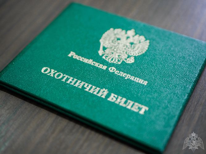 Росгвардия разъясняет жителям Новгородской области причины и последствия утрат гражданского оружия