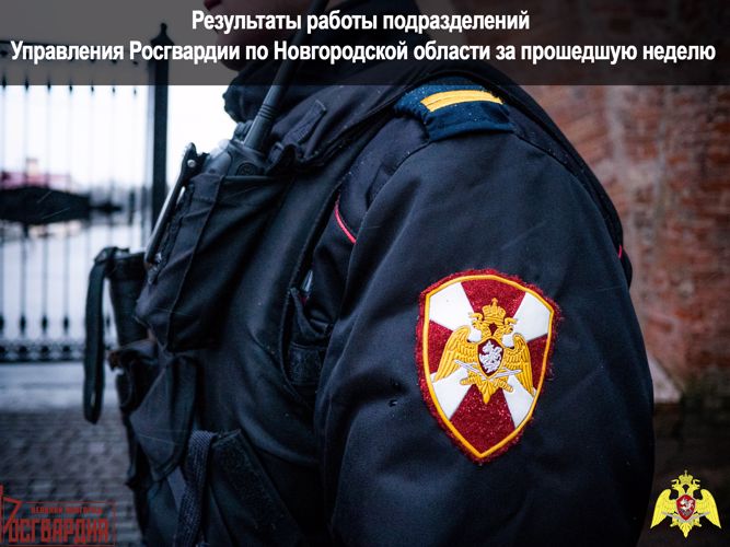 Результаты работы подразделений Управления Росгвардии по Новгородской области за прошедшую неделю