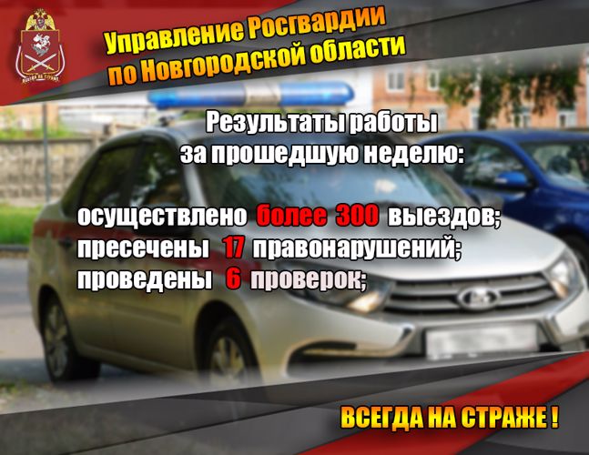 Новгородские росгвардейцы за прошедшую неделю пресекли 17 административных правонарушений   
