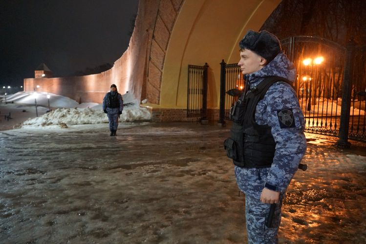  Новгородские росгвардейцы пресекли кражу