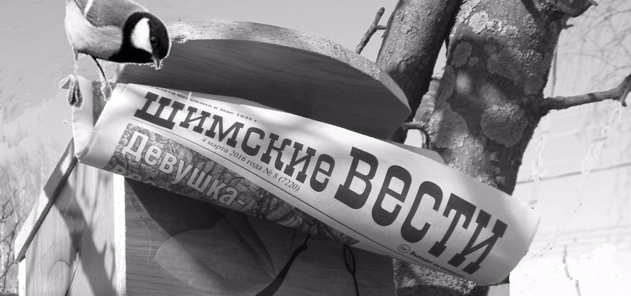 Статья в газете "Шимские вести"
