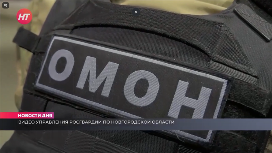 Телесюжет программы "Новости дня" (ТК "Новгородское областное телевидение") 
