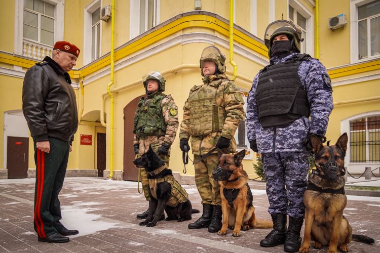 Генерал-лейтенант Алексей Воробьев рассказал о подвиге на СВО служебных собак из Новгорода