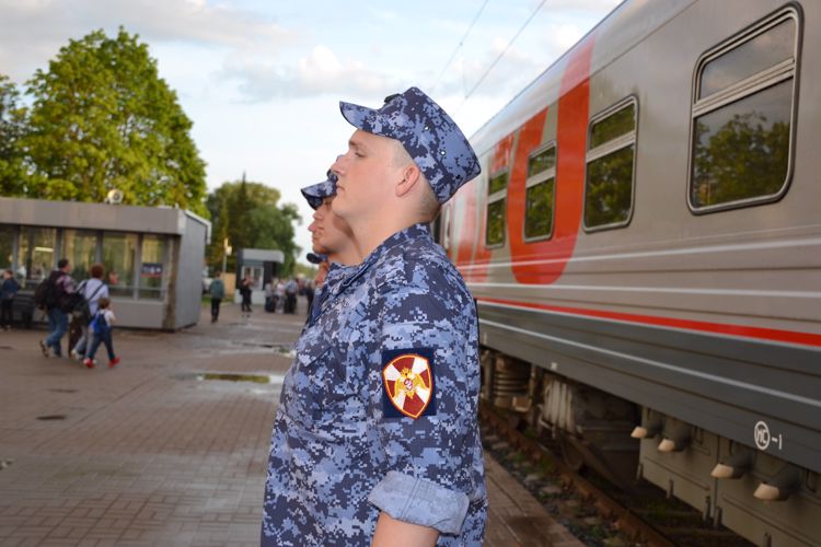  Более 30 новгородских юношей отправятся служить в Северо-Западный округ Росгвардии