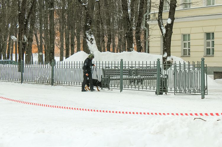 Новгородские росгвардейцы приняли участие в учении «Метель-2023»
