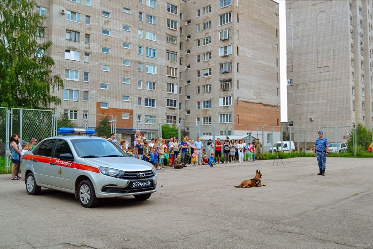 Новгородские кинологи из Росгвардии встретились с волонтерами молодежного центра