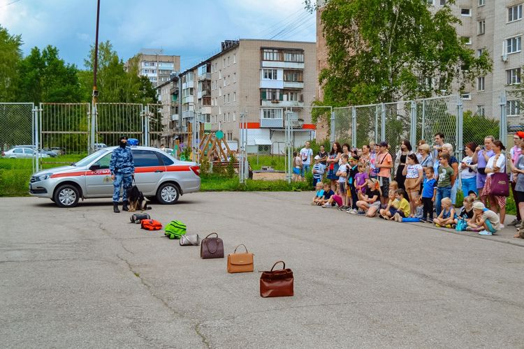 Новгородские кинологи из Росгвардии встретились с волонтерами молодежного центра