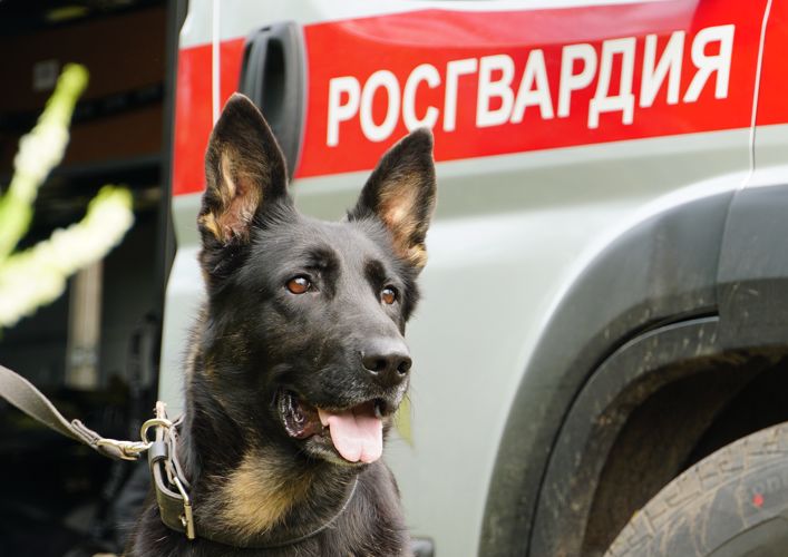   30 сентября  отмечается День образования территориального управления Росгвардии