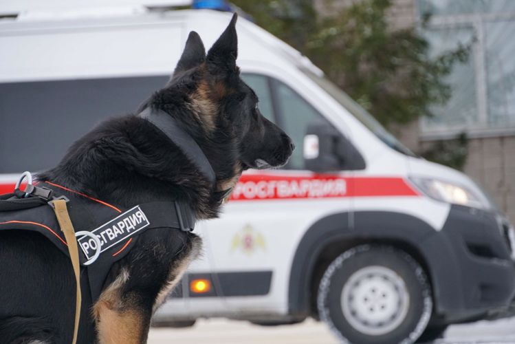 Сегодня отмечается 35 годовщина со дня образования ОМОН   