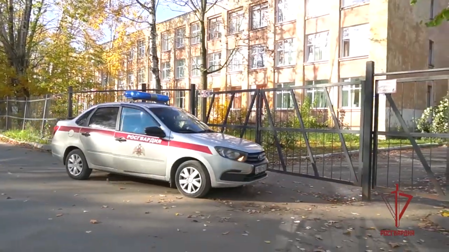Телесюжет программы "Новости на Мсте" (ТК "Мста") 