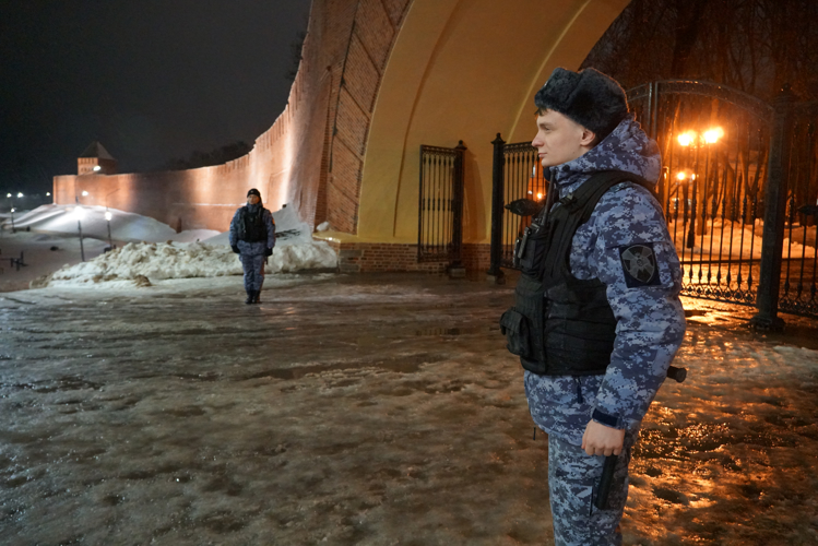  Новгородские росгвардейцы  пресекли кражу