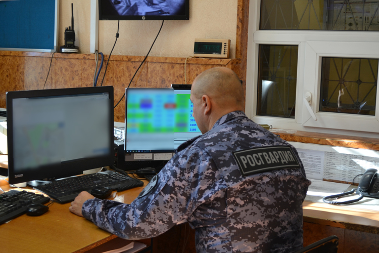  Новгородские росгвардейцы задержали гражданина, совершившего грабеж