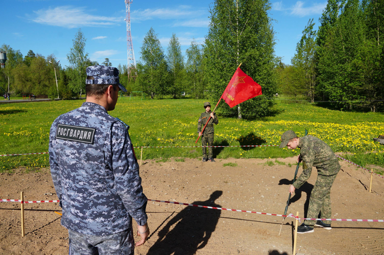 Подшефный класс  новгородской Росгвардии  занял  несколько призовых мест  в отдельных дисциплинах в  рамках игры «Зарница» - «Школа безопасности»