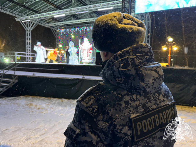 Более 130 росгвардейцев обеспечат  правопорядок в Новый год в регионе