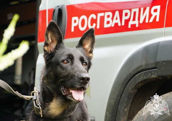 30 сентября отмечается День образования территориального управления Росгвардии