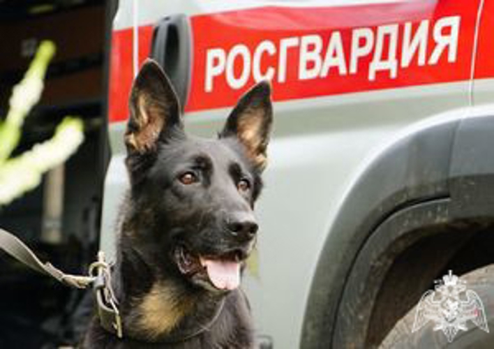 30 сентября отмечается День образования территориального управления Росгвардии