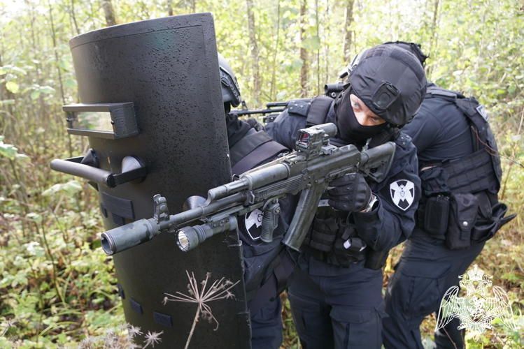 Сегодня в России отмечают годовщину создания СОБР