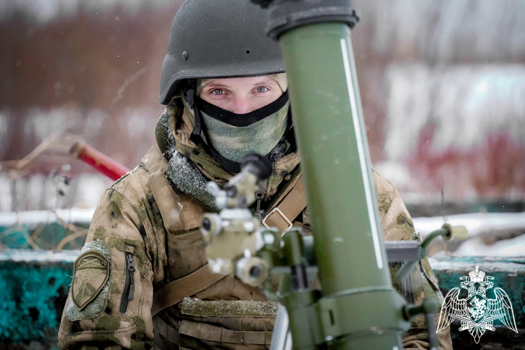 19 ноября  в России отмечается День ракетных войск и артиллерии