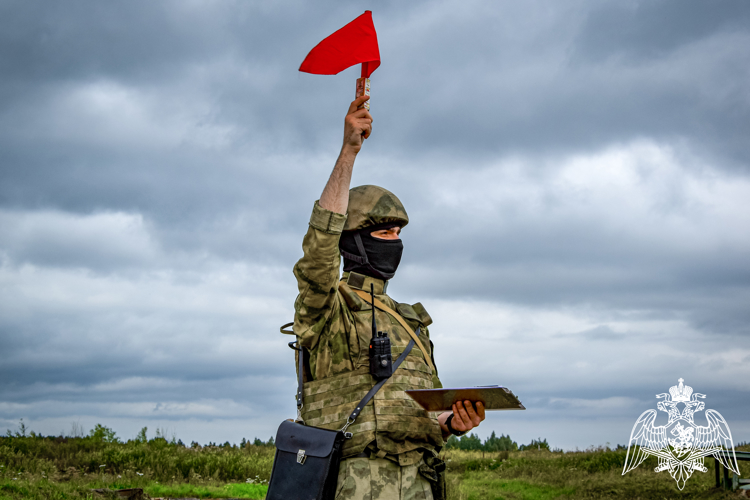 19 ноября  в России отмечается День ракетных войск и артиллерии