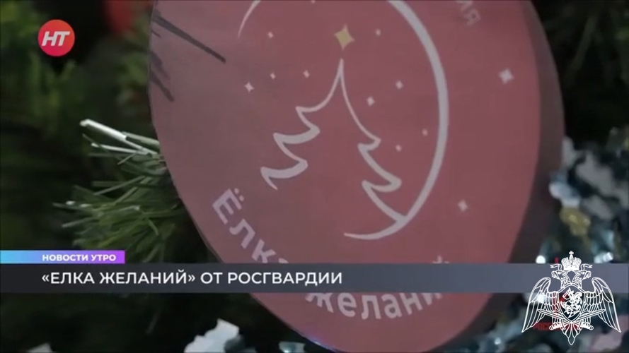 Телесюжет в программе "Новости утро" на Новгородском областном телевидении от 26 декабря 2025 года о елке желаний