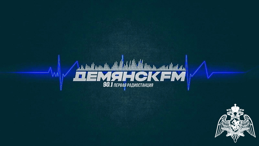 Радиоэфир программы "Новости" на радио "ДемянскFM" от 21 января 2026 года об итогах работы ОВО за 2025 год