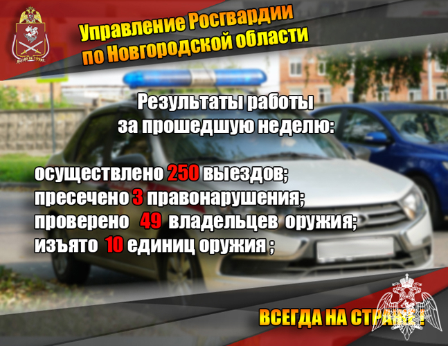 Новгородские росгвардейцы изъяли 10 единиц оружия за прошедшую неделю