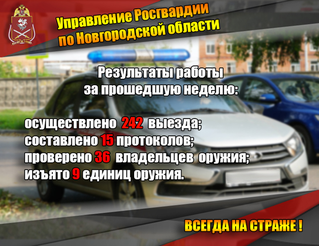 Новгородские росгвардейцы изъяли 9 единиц оружия за прошедшую неделю