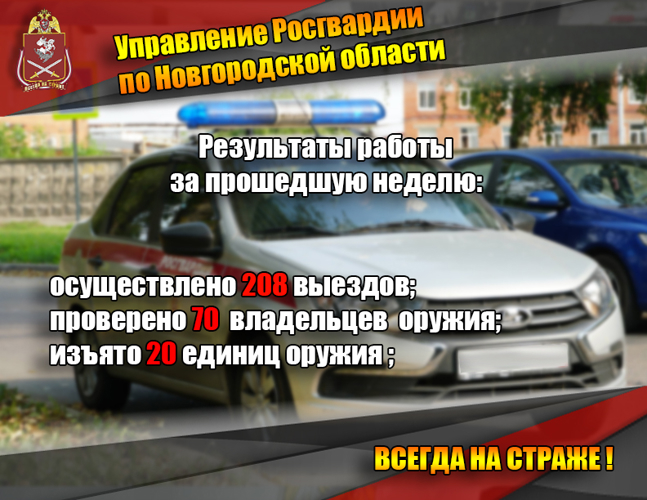 Новгородские росгвардейцы изъяли 20 единиц гражданского оружия за прошедшую неделю