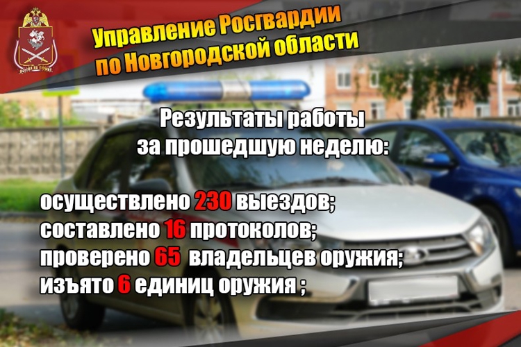 Новгородские росгвардейцы изъяли 6 единиц оружия за прошедшую неделю