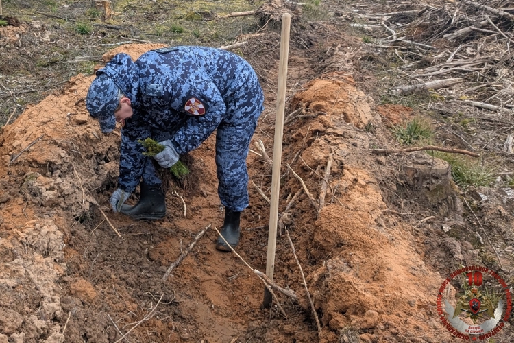 Новгородские росгвардейцы приняли участие в международной  акции «Сад памяти»
