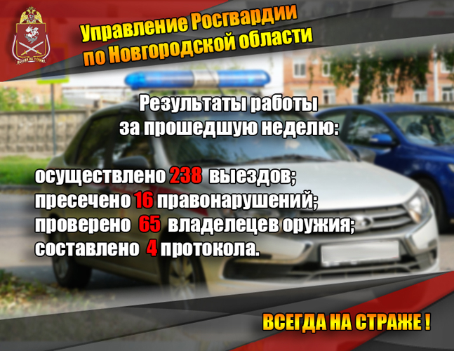 Новгородские росгвардейцы за неделю изъяли 10 единиц оружия