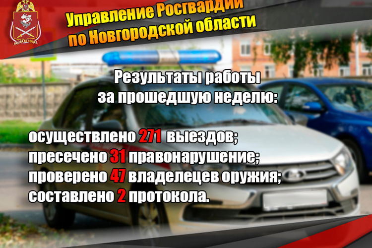 Новгородские росгвардейцы за неделю изъяли 8  единиц оружия  