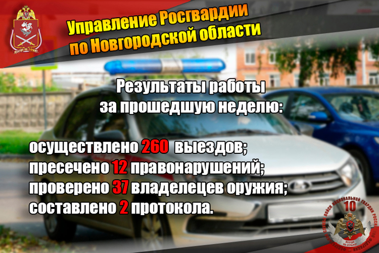 Новгородские росгвардейцы за неделю изъяли 10 единиц оружия