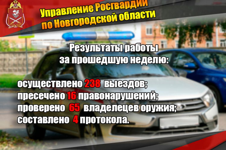 Новгородские росгвардейцы за неделю изъяли 10 единиц оружия