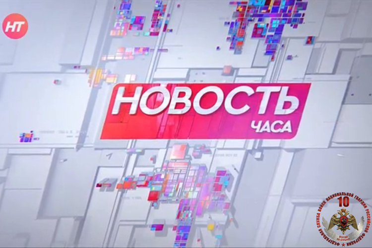 Телесюжет в программе "Новгородское областное телевидение. Новости часа." от 19 июня 2026 года. Работа кинологической службы Управления Росгвардии по Новгородской области.