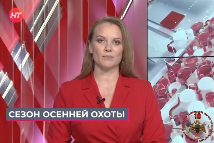 Телесюжет "Новгородское областное телевидение" в программе "Новости утро" от 6 октября 2026 года. Основные правила перед началом сезонной охоты