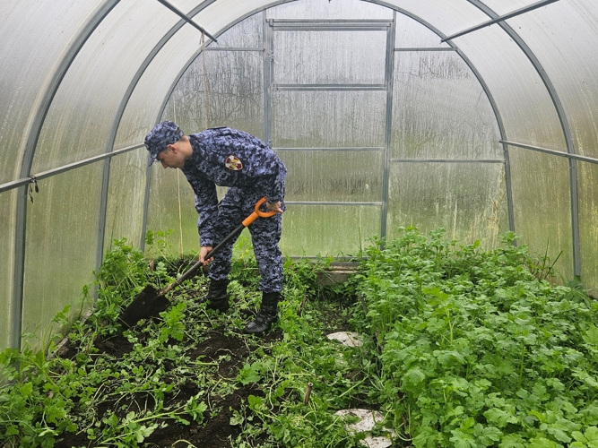 Новгородские росгвардейцы помогли на дачном участке ветерану Великой Отечественной войны