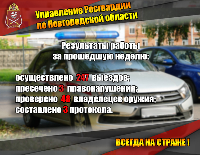 Результаты работы подразделений Росгвардии по Новгородской области с 19 октября по 25 октября 2026 года