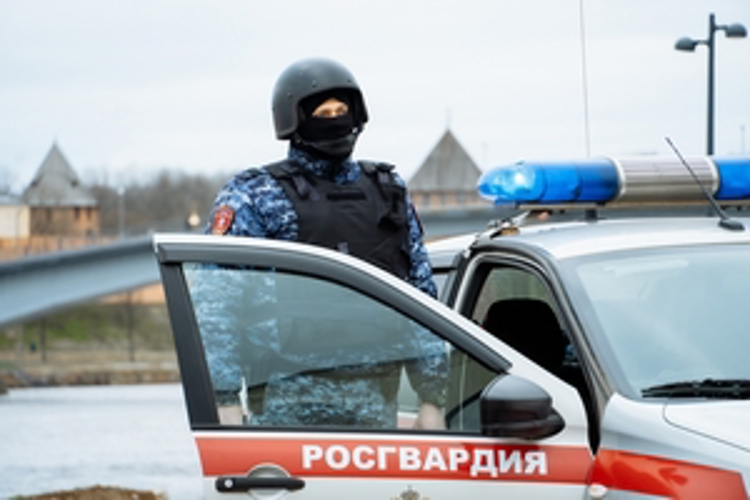 Сотрудники Росгвардии задержали мужчину